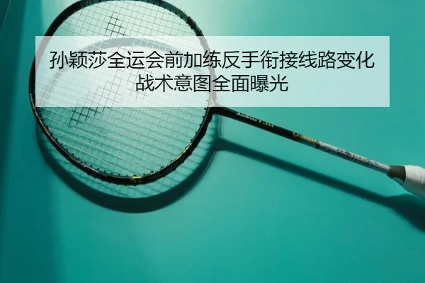 孙颖莎全运会前加练反手衔接线路变化 战术意图全面曝光（MILANSPORT）